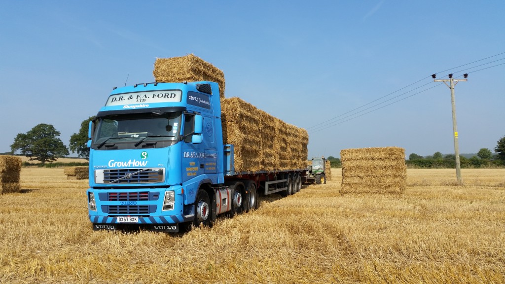 Hay & Straw Tab